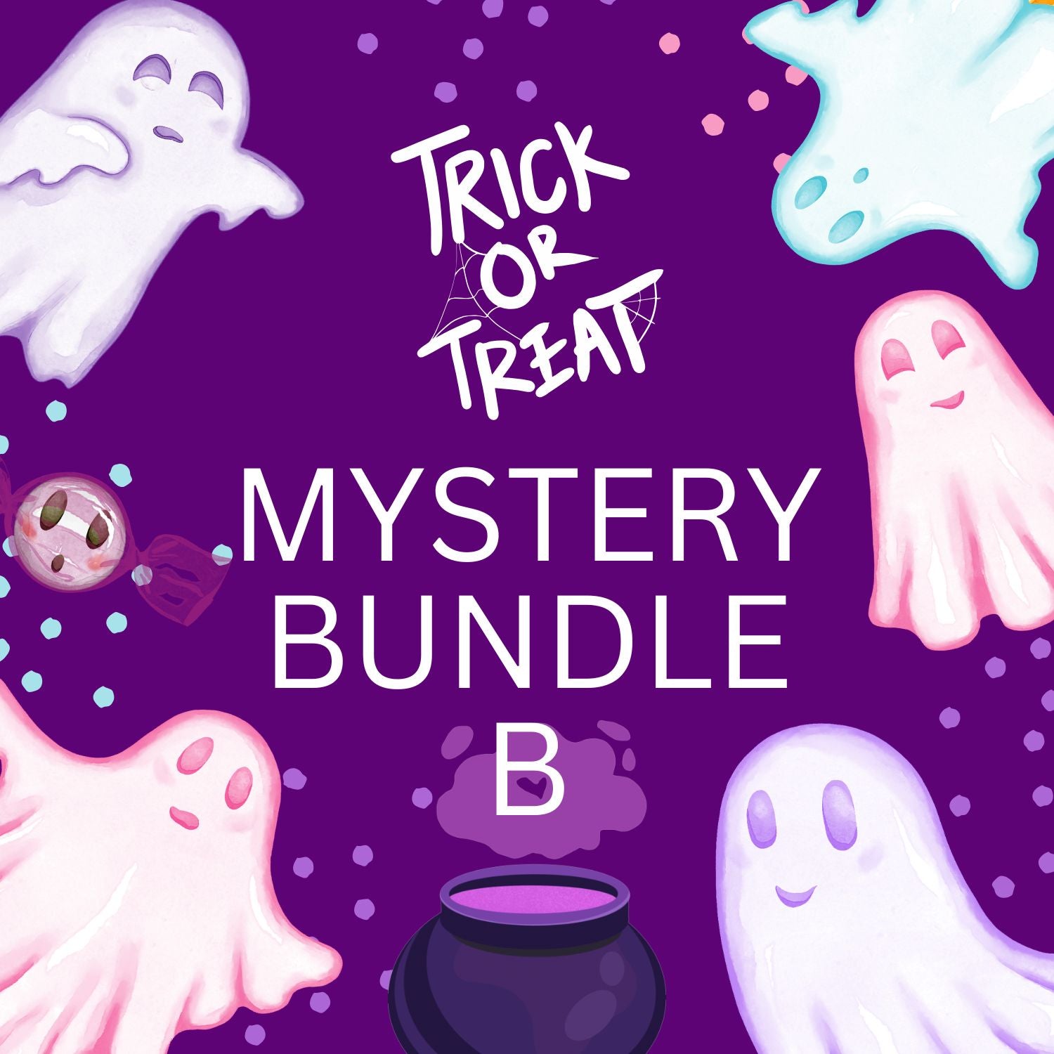Mystery Bundle B