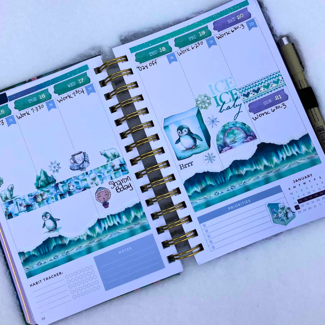 Arctic Adventures Sticker Book