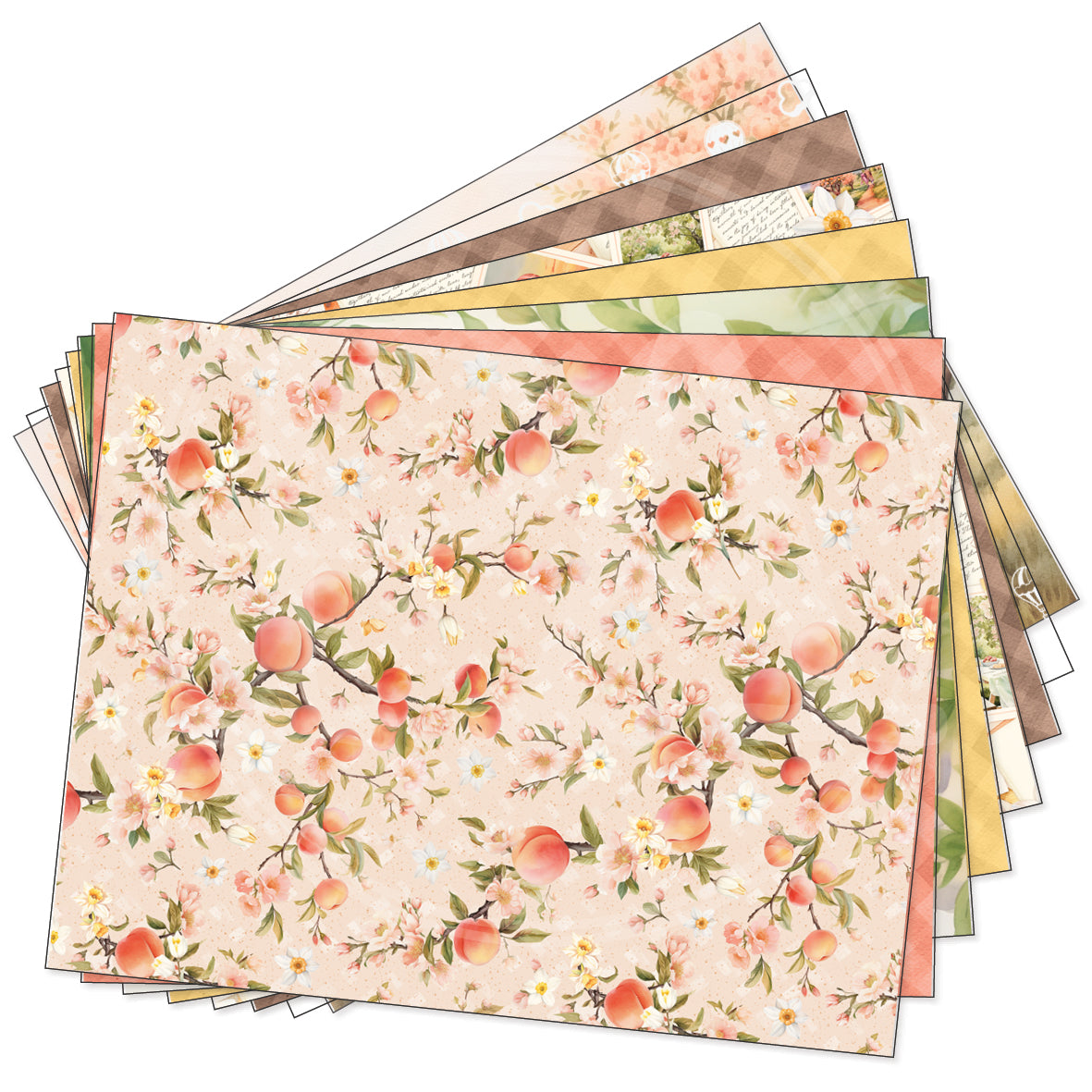 Peach Promenade decorative papers - standard
