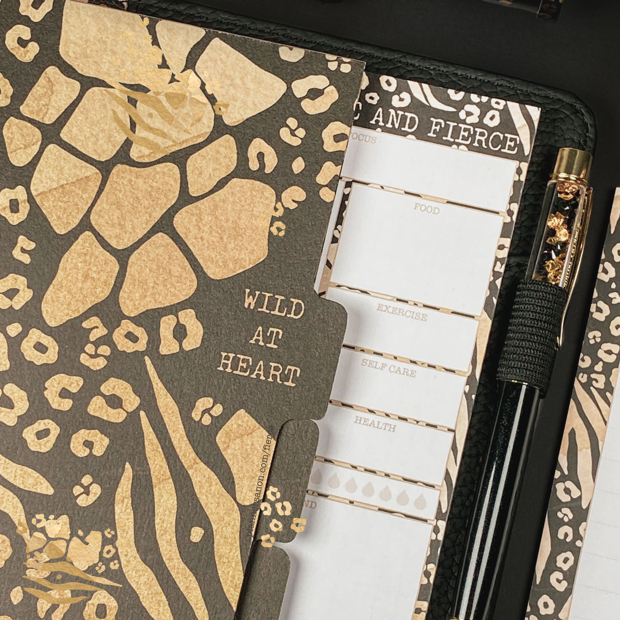 Fierce Melody B6 Dividers