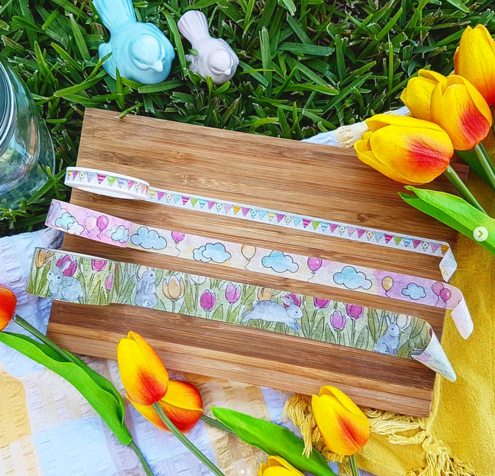Picnic in the Park Washi - medium (approx 15mm)