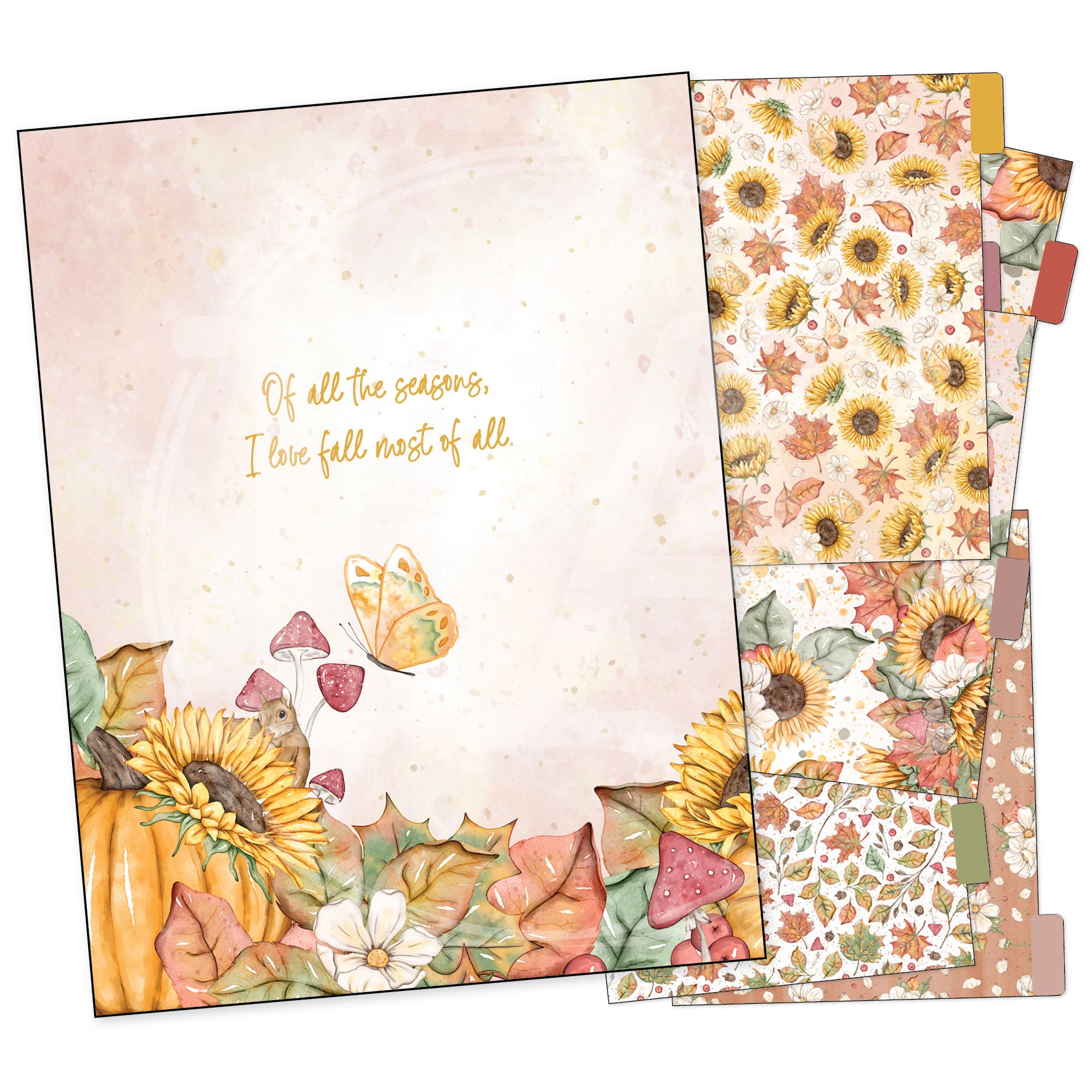 All for Fall B6+ dividers w/Pockets